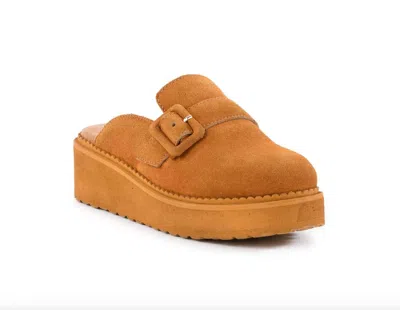 Seychelles Women's Come Together Mules In Brown In Orange