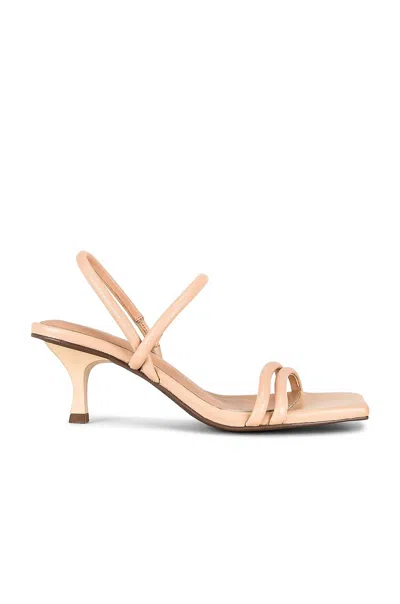 Seychelles Women's Strappy Kitten Heel In Vacchetta In Pink