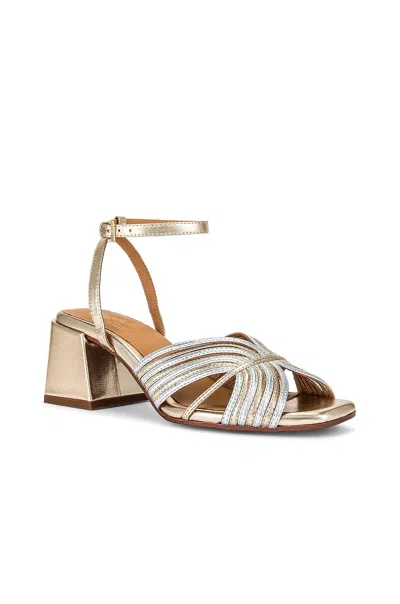 Seychelles Women's Tender Heels In Gold/silver In Multi