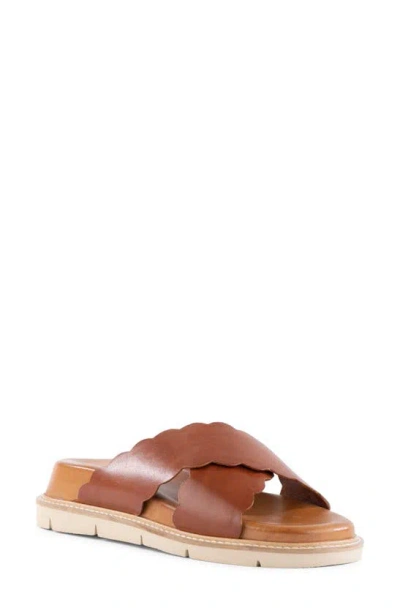 Seychelles Woodstock Platform Wedge Sandal In Brown