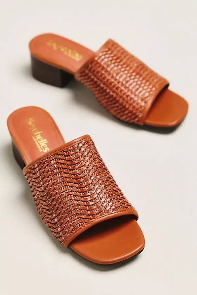 Seychelles X Anthropologie Pepper Block-heel Sandals In Brown