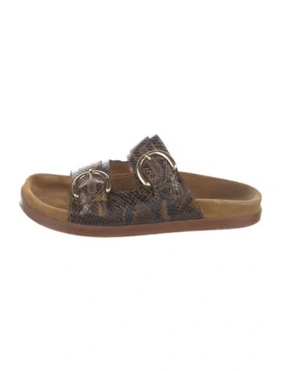 Pre-owned Sézane Embossed Leather Animal Print Slides In Brown