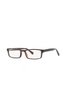 Sferoflex 52mm Rectangle Optical Glasses In Brown