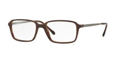Sferoflex Sf1144 C595 Men's Glasses Brown Size 55 - Free Lenses - Blue Light Block Available
