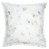 Sferra Acquerello Euro Sham - Exclusive In Green