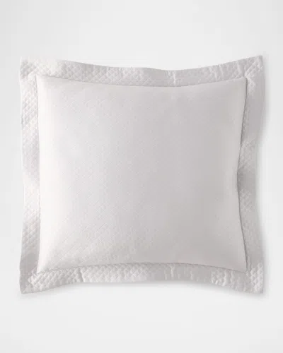 Sferra Bione Euro Sham In Slate