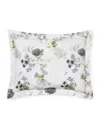 Sferra Cotton Percale Incanto Sham Oxford Pillowcase In Gray