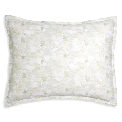 Sferra Pittore Long Staple Cotton Sateen Floral Standard Sham - Exclusive