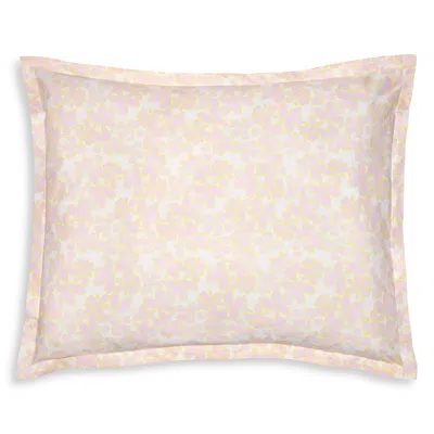 Sferra Prato Boudoir Sham In Pink