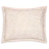 Sferra Prato Continental Sham In Carnation