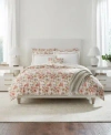 Sferra Siena Cotton Duvet Covers In Rose