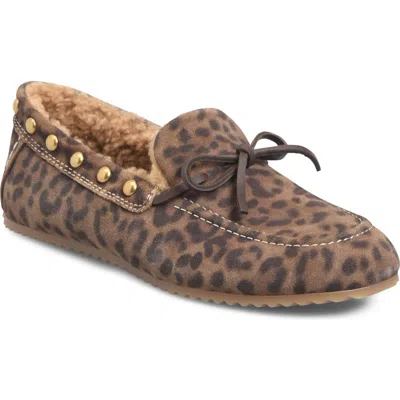 Söfft Alpine Genuine Shearling Loafer In Animal Print