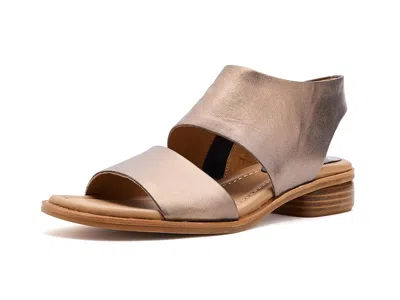 Söfft Felicity In Multi