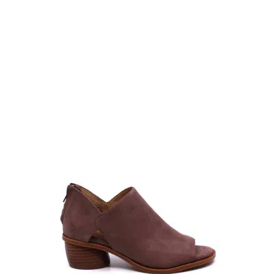 Söfft Lavender Grey Shoes In Brown