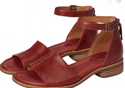 Söfft Women's Faxyn Ankle Strap Sandal In Desert Rose In Brown