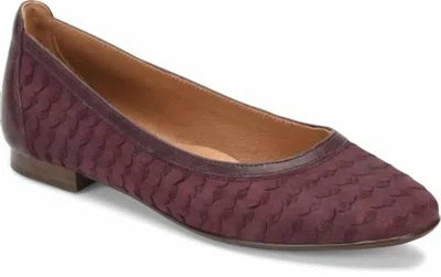Söfft Women's Maretto Flat In Cordovan In Purple