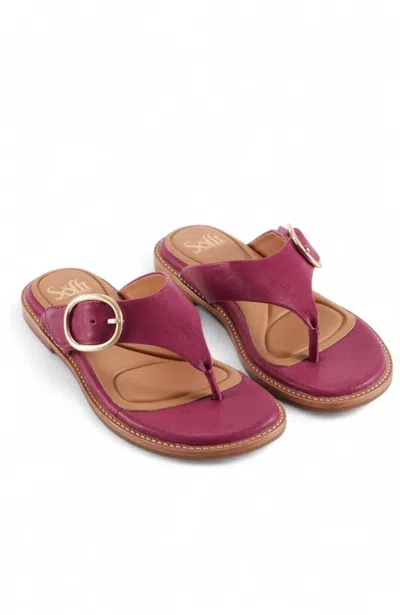 Söfft Women Nancia Sandal In Raspberry In Multi