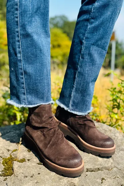 Söfft Women's Pecola Bootie In Dark Brown