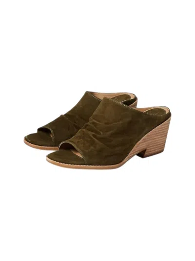Söfft Women's Strathmore Sandals In Moss In Green