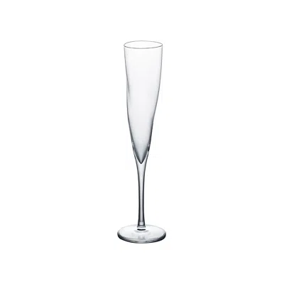 Sghr Sugahara Helen- Champagne Glass Clear, 5.1oz In Transparent