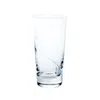 Sghr Sugahara White Kirameki Tumbler Glass - One Line, Clear