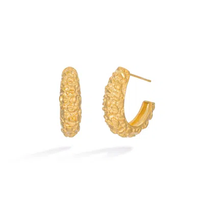 Shabella Nyc Women's Gold Textured Hoops