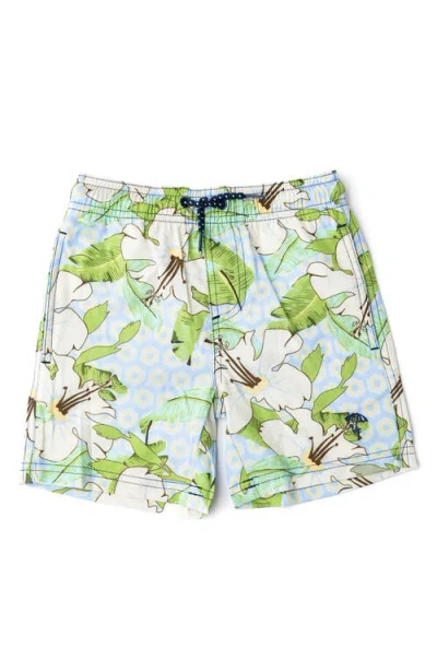 Shade Critters Babies'  Hibiscus Swim Trunks In Blue
