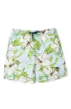 Shade Critters Hibiscus Swim Trunks In Green