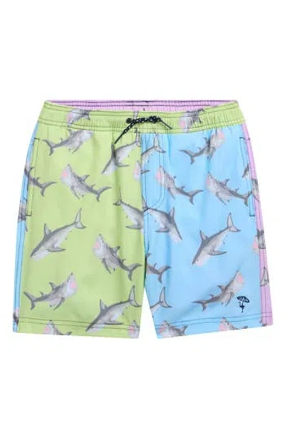 Shade Critters Kids' Shark H₂o Swim Shorts In Multi