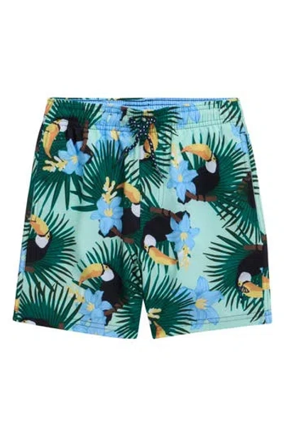 Shade Critters Kids' Swim Trunks In Multi