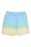Shade Critters Stripe Colorblock Swim Trunks In Multi