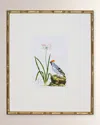 Shadow Catchers Bird Habitat Ii Framed Giclee