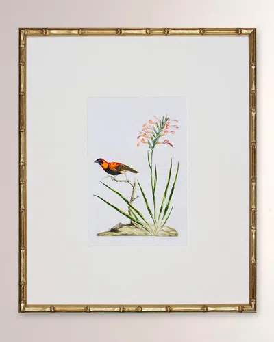 Shadow Catchers Bird Habitat Iii Framed Giclee