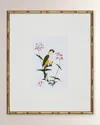 Shadow Catchers Bird Habitat Iv Framed Giclee