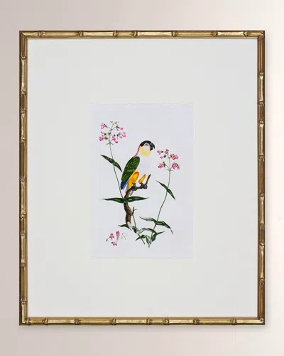 Shadow Catchers Bird Habitat Iv Framed Giclee