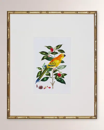 Shadow Catchers Bird Habitat V Framed Giclee