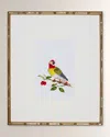 Shadow Catchers Bird Habitat Vi Framed Giclee