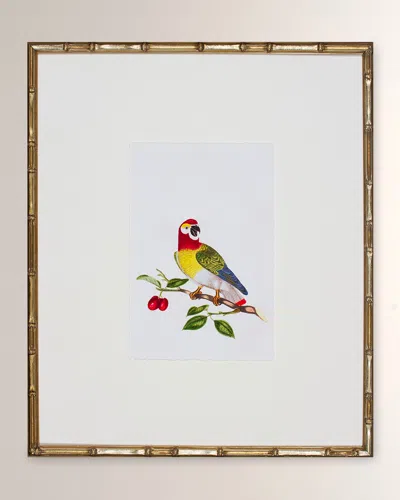 Shadow Catchers Bird Habitat Vi Framed Giclee