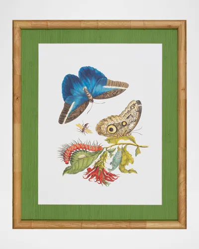 Shadow Catchers Classic Botanical I Framed Giclee
