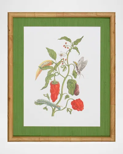 Shadow Catchers Classic Botanical Ii Framed Giclee
