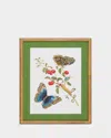 Shadow Catchers Classic Botanical Ix Framed Giclee
