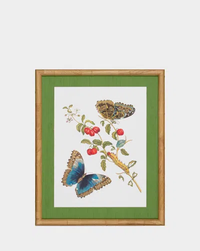 Shadow Catchers Classic Botanical Ix Framed Giclee
