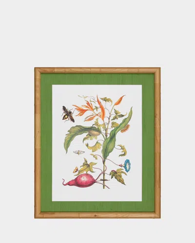 Shadow Catchers Classic Botanical V Framed Giclee
