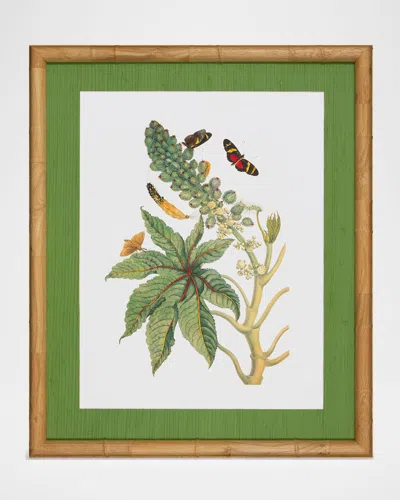 Shadow Catchers Classic Botanical Vii Framed Giclee