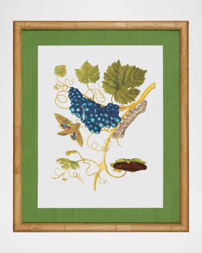 Shadow Catchers Classic Botanical Viii Framed Giclee