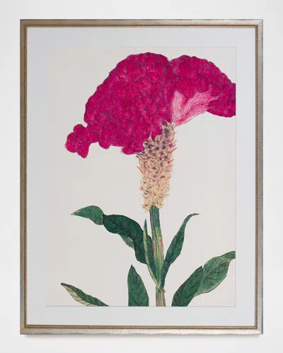 Shadow Catchers Enchanting Bloom I Framed Giclee