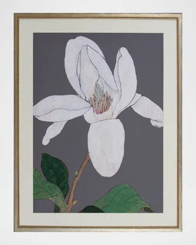 Shadow Catchers Enchanting Bloom Iv Framed Giclee