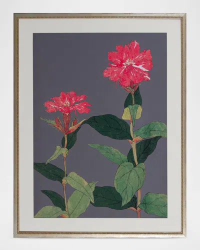 Shadow Catchers Enchanting Bloom Ix Framed Giclee