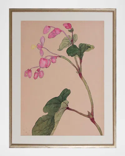 Shadow Catchers Enchanting Bloom Vii Framed Giclee