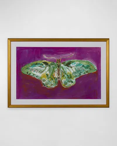 Shadow Catchers Luna Moth Giclee